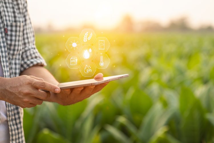 Agriculture IT: Unveiling Hidden Savings
